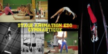 STAGE ANIMATION EDO