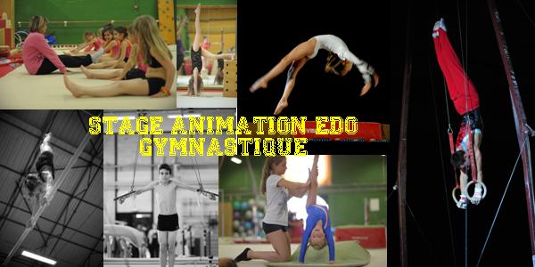 STAGE ANIMATION EDO