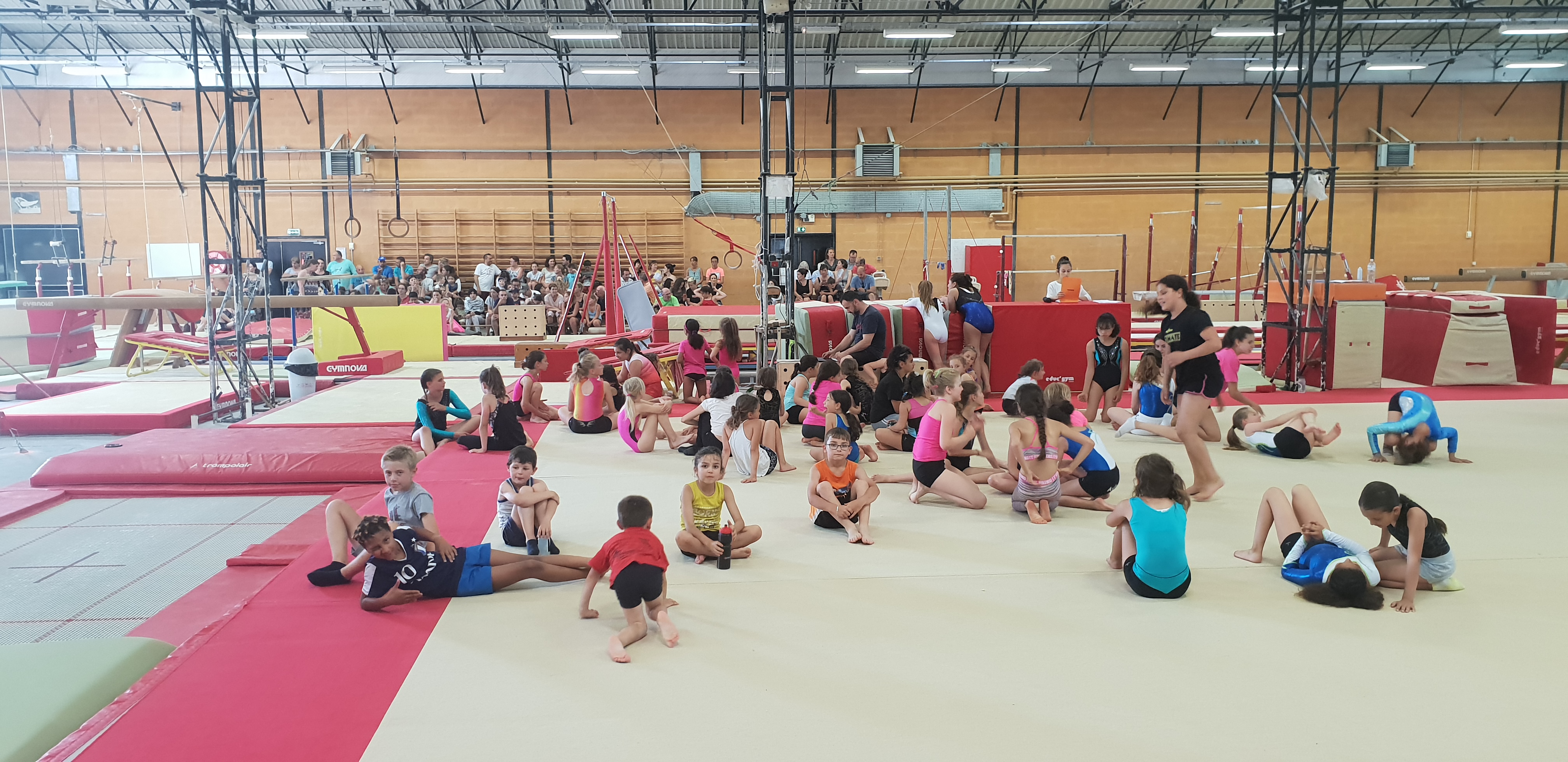 Accessgym cup