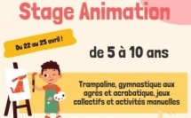 VACANCES SPORTIVES - stage animation