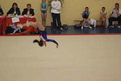 DSC01705.JPG DSC01705.JPG