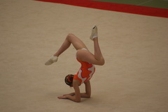 DSC02395.JPG DSC02395.JPG