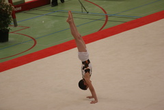 DSC02338.JPG DSC02338.JPG