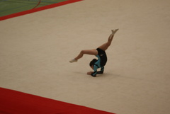 DSC02349.JPG DSC02349.JPG