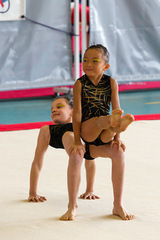 FAREINS 2011 net (5).jpg