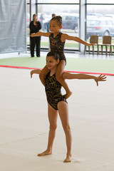 FAREINS 2011 net (6).jpg