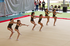 FAREINS 2011 net (13).jpg FAREINS 2011 net (13).jpg