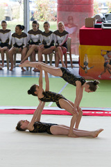 FAREINS 2011 net (18).jpg