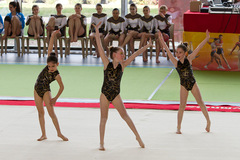 FAREINS 2011 net (19).jpg
