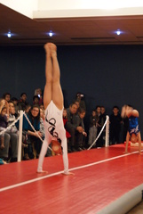 DSC04120