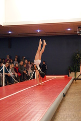 DSC04124