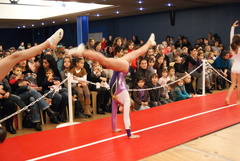 DSC04138 DSC04138