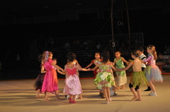 DSC_0077 DSC_0077