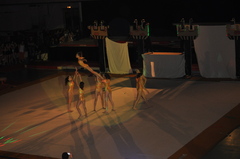 DSC_0181 DSC_0181