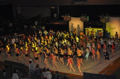 DSC_0226 DSC_0226