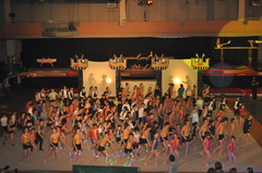 DSC_0233 DSC_0233