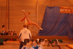 DSC02981
