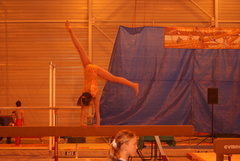 DSC02985