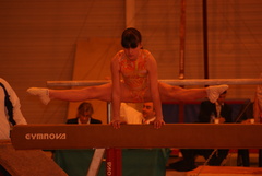DSC02987 DSC02987