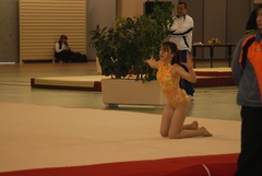 DSC03084