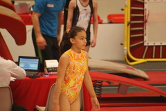 DSC03290