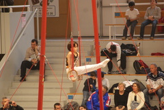 DSC03334 DSC03334