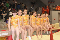 DSC03353 DSC03353