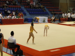 DSC03852
