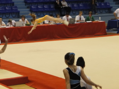 DSC03853 DSC03853