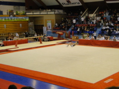 DSC03915