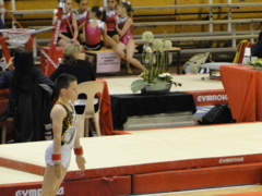 DSC03916 DSC03916