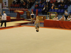 DSC03908 DSC03908