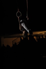 EDO Gala Joel Comte (230) EDO Gala Joel Comte (230)