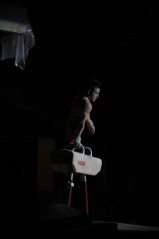 EDO Gala Joel Comte (249) EDO Gala Joel Comte (249)