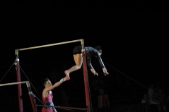 EDO Gala Joel Comte (614) EDO Gala Joel Comte (614)