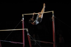 EDO Gala Joel Comte (611) EDO Gala Joel Comte (611)