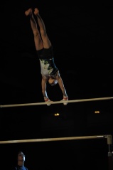 EDO Gala Joel Comte (252) EDO Gala Joel Comte (252)