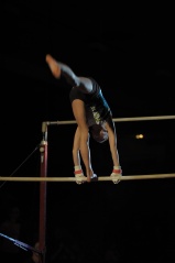 EDO Gala Joel Comte (251) EDO Gala Joel Comte (251)