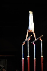 EDO Gala Joel Comte (105) EDO Gala Joel Comte (105)