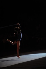 EDO Gala Joel Comte (241) EDO Gala Joel Comte (241)