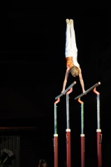 EDO Gala Joel Comte (104) EDO Gala Joel Comte (104)