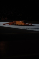 EDO Gala Joel Comte (358) EDO Gala Joel Comte (358)