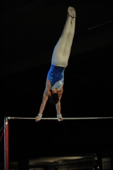 EDO Gala Joel Comte (617) EDO Gala Joel Comte (617)