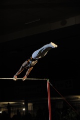 EDO Gala Joel Comte (500) EDO Gala Joel Comte (500)