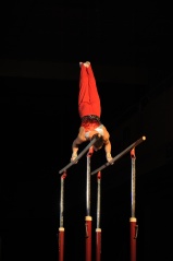 EDO Gala Joel Comte (383) EDO Gala Joel Comte (383)