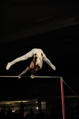 EDO Gala Joel Comte (498) EDO Gala Joel Comte (498)