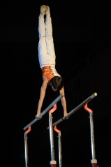 EDO Gala Joel Comte (188) EDO Gala Joel Comte (188)