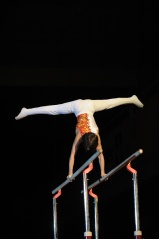 EDO Gala Joel Comte (183) EDO Gala Joel Comte (183)