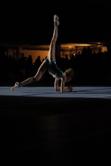 EDO Gala Joel Comte (438) EDO Gala Joel Comte (438)