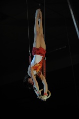 EDO Gala Joel Comte (59) EDO Gala Joel Comte (59)